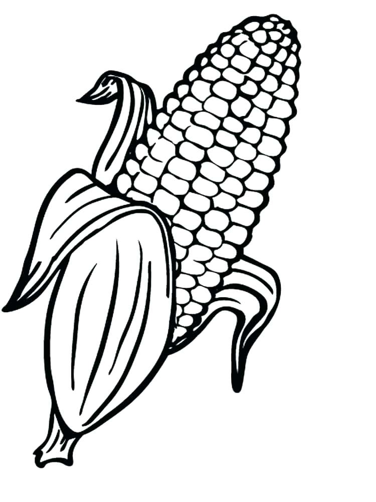 Corn coloring pages