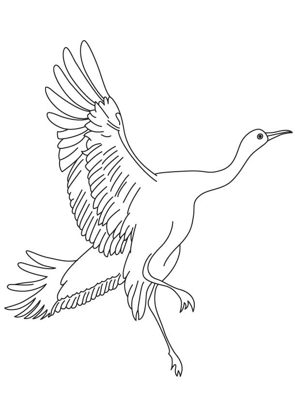 Small rodents eating crane coloring page download free small rodents eating crane coloring page for kids best coloring pages