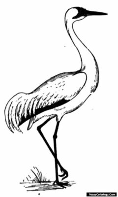 Free crane bird coloring pages to download and print