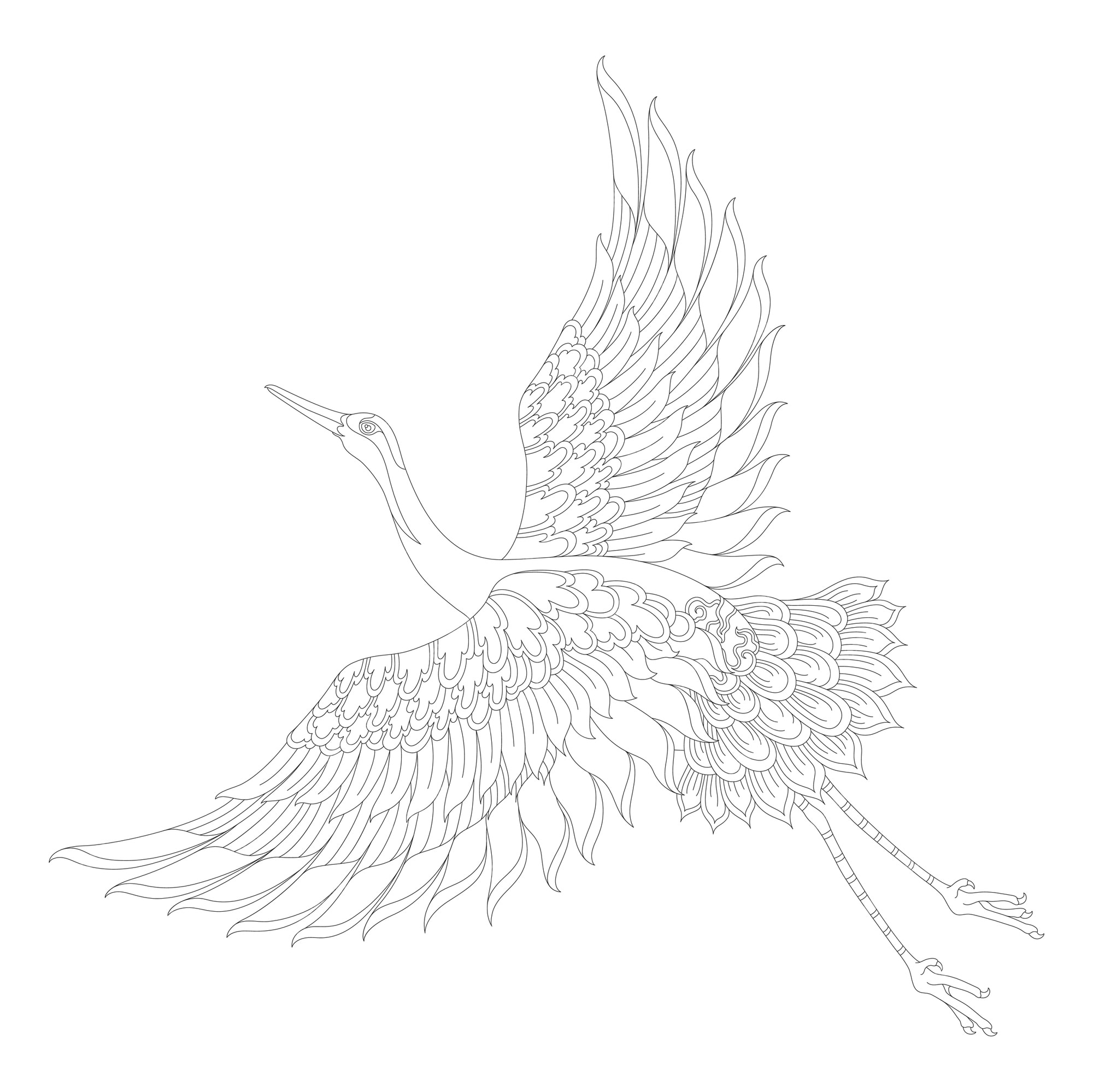 Free vector red