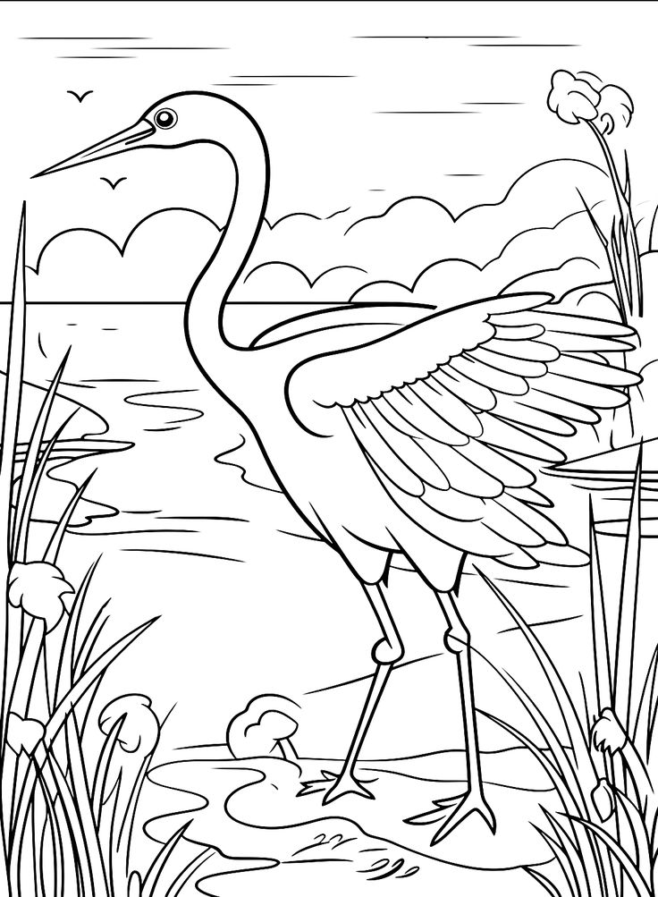 Crane bird coloring pages