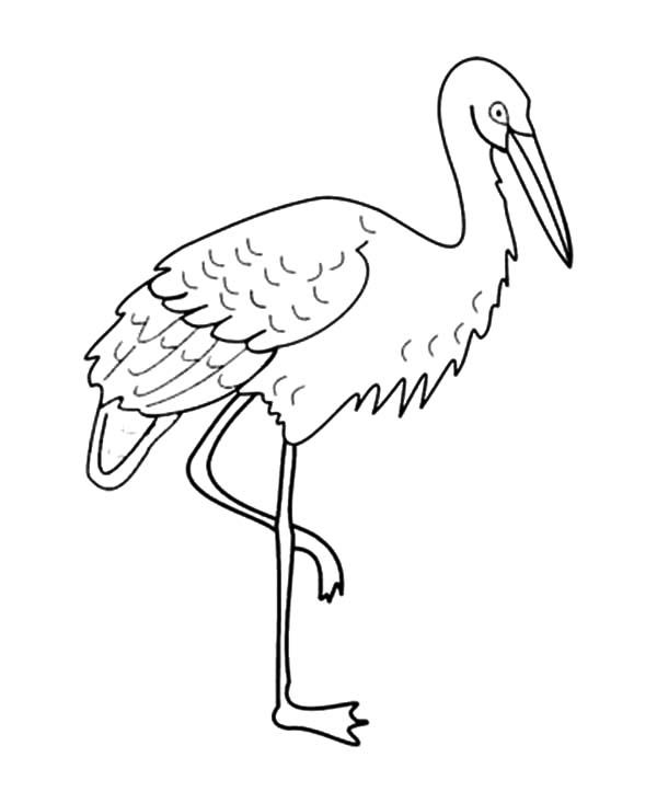 Drawing crane bird coloring pages
