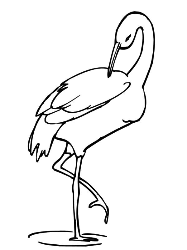 Crane bird stands on one leg coloring pages