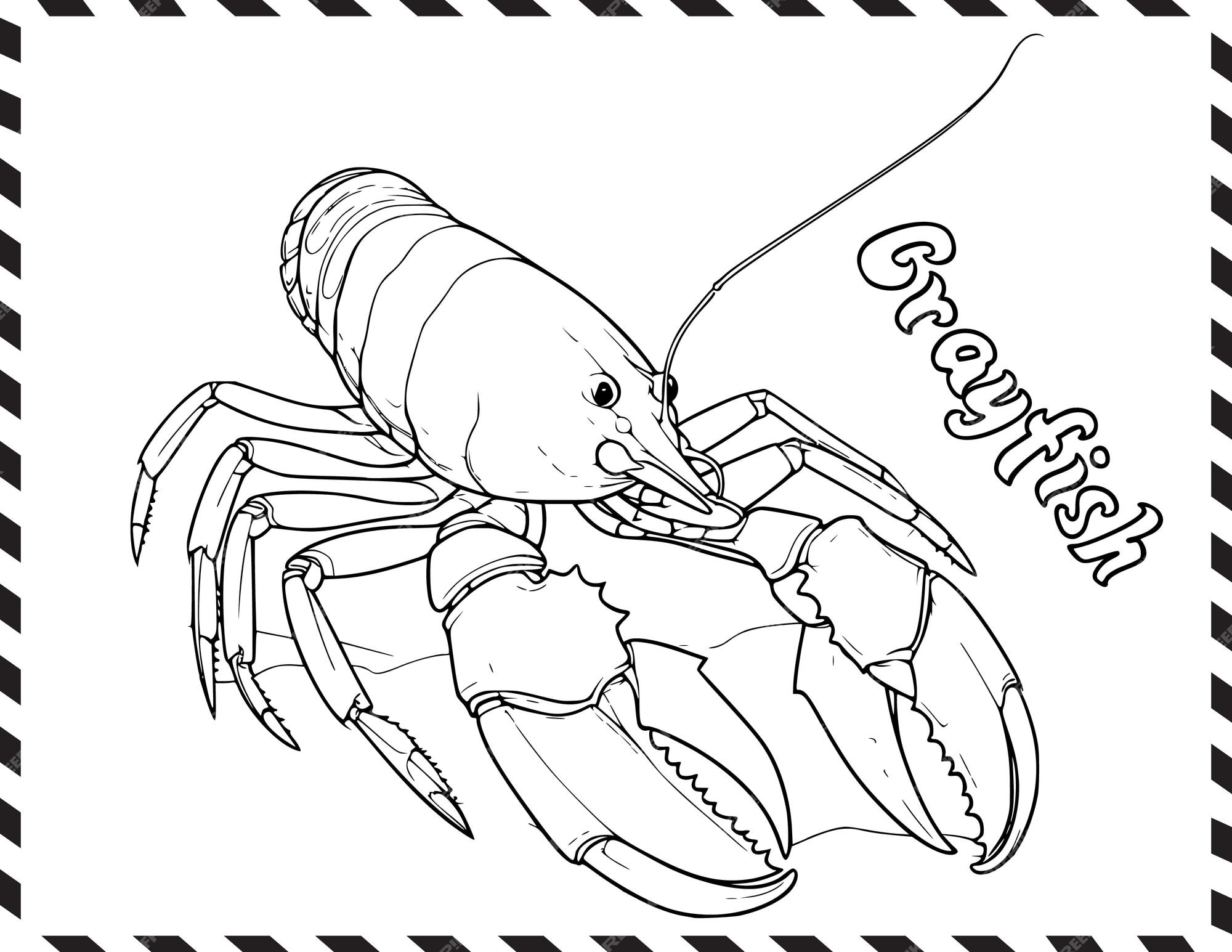 Premium vector crayfish in sea coloring pages drawing for kids