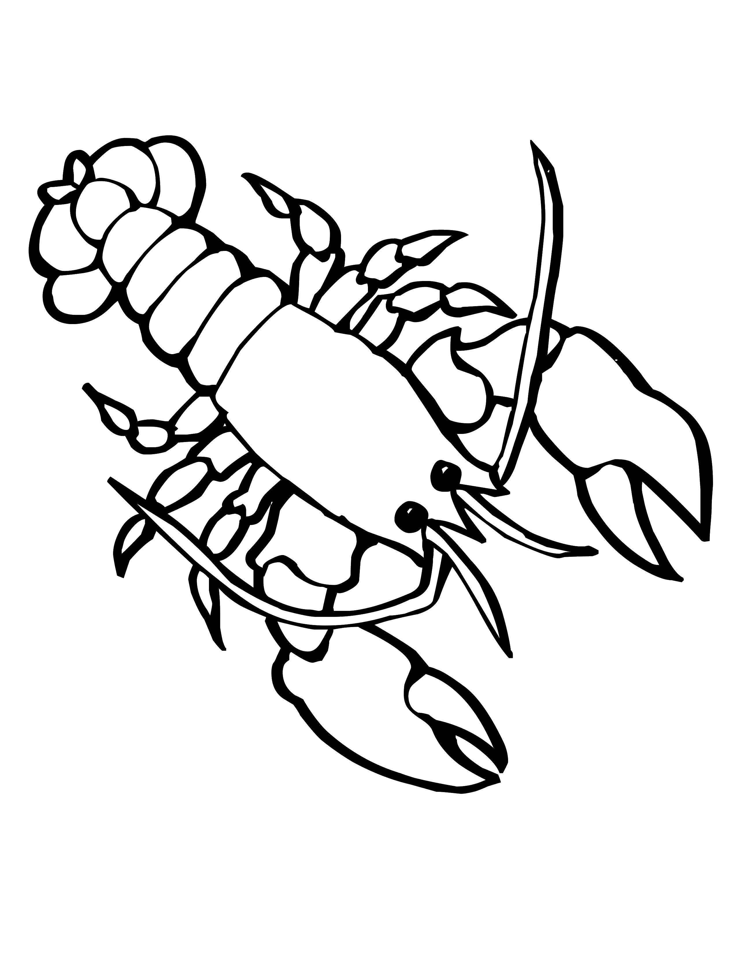 Online coloring pages coloring page river crayfish sea download print coloring page
