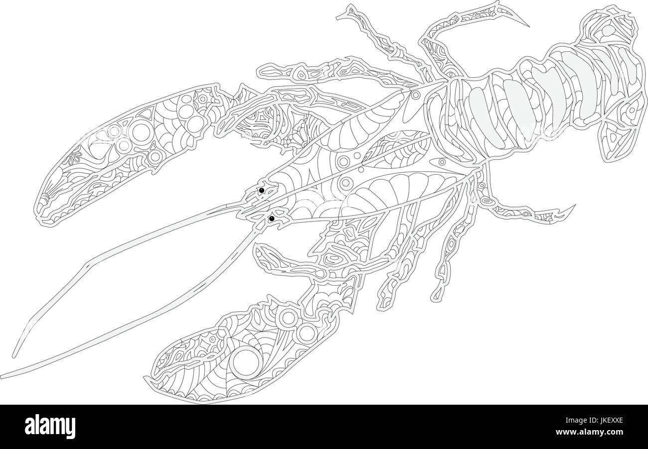 Lobster line art design for coloring book ornate zentangle crawfish drawing stock vector image art