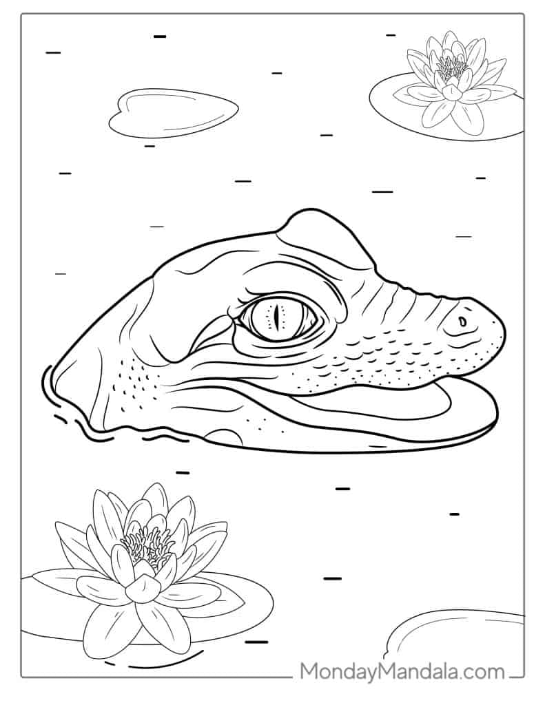 Crocodile coloring pages free pdf printables