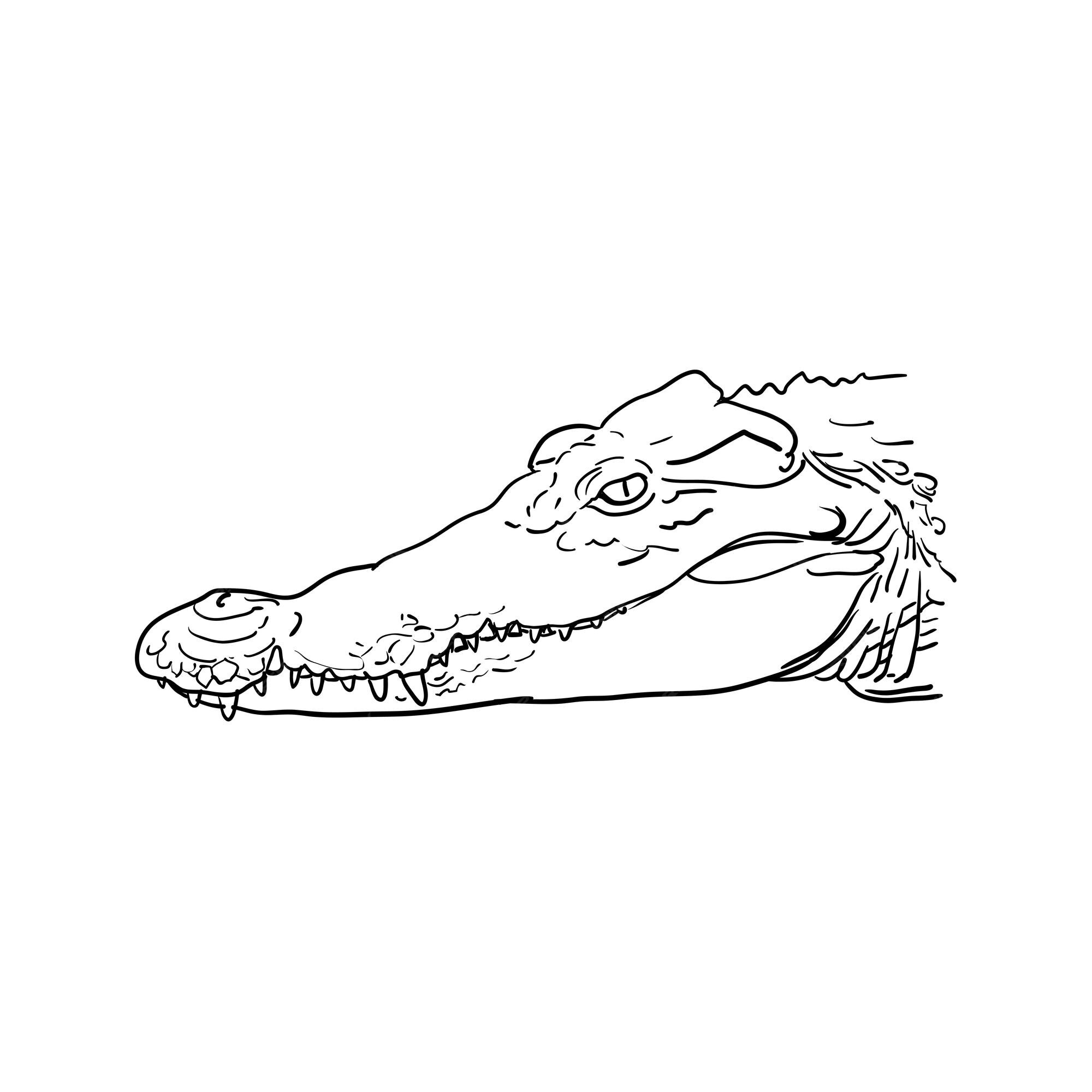 Premium vector hand drawn crocodile kawaii coloring page illustration