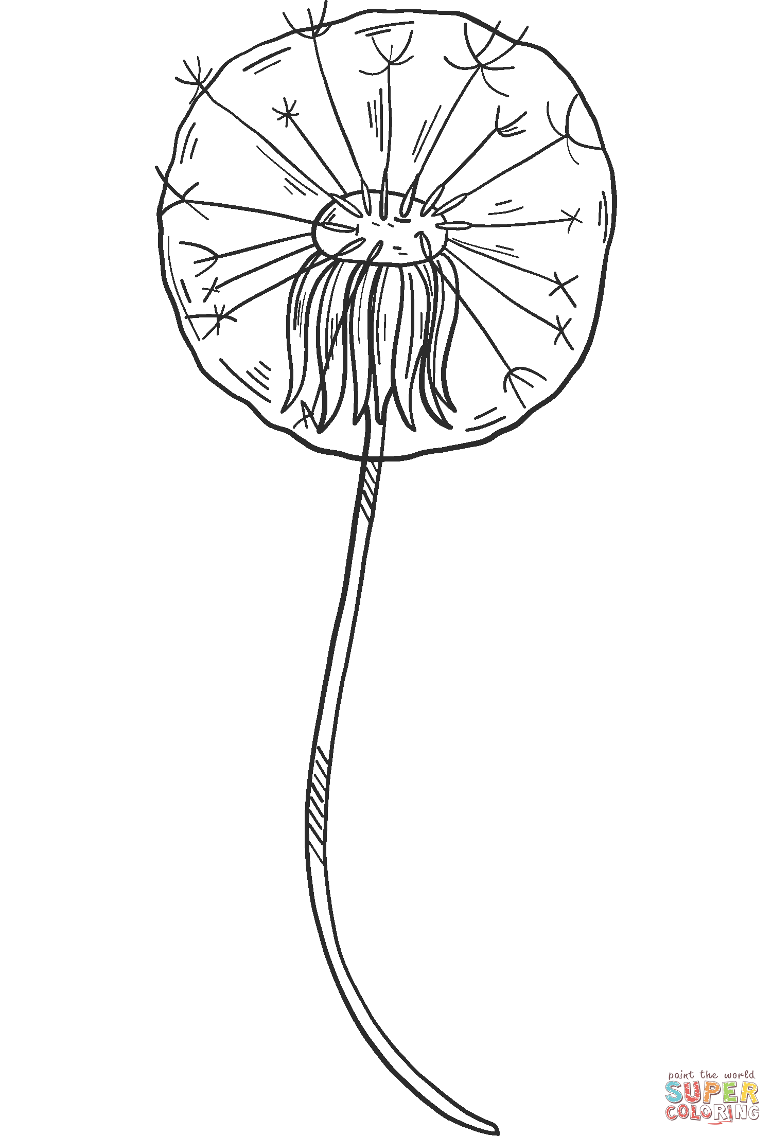 Dandelion puff coloring page free printable coloring pages
