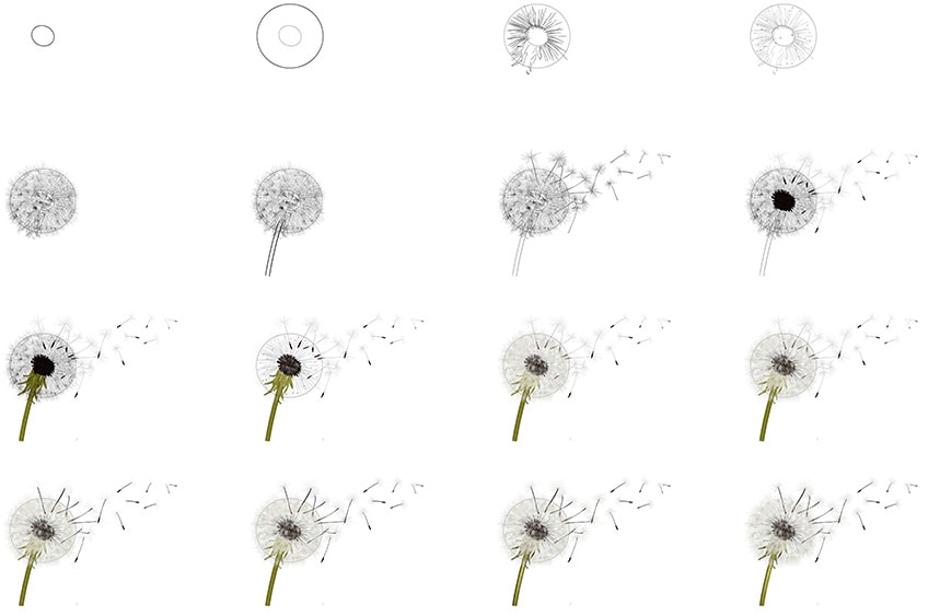 How to draw a dandelion