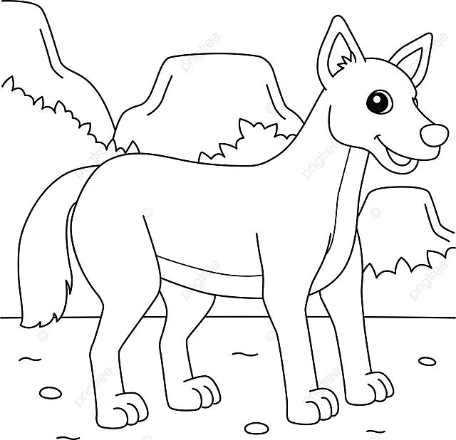 Dingo animal coloring page for kids hand drawn illustration wildlife vector hand drawn illustration wildlife png and vector with transparent background for free download