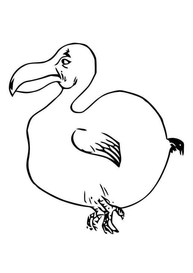 Coloring page bird