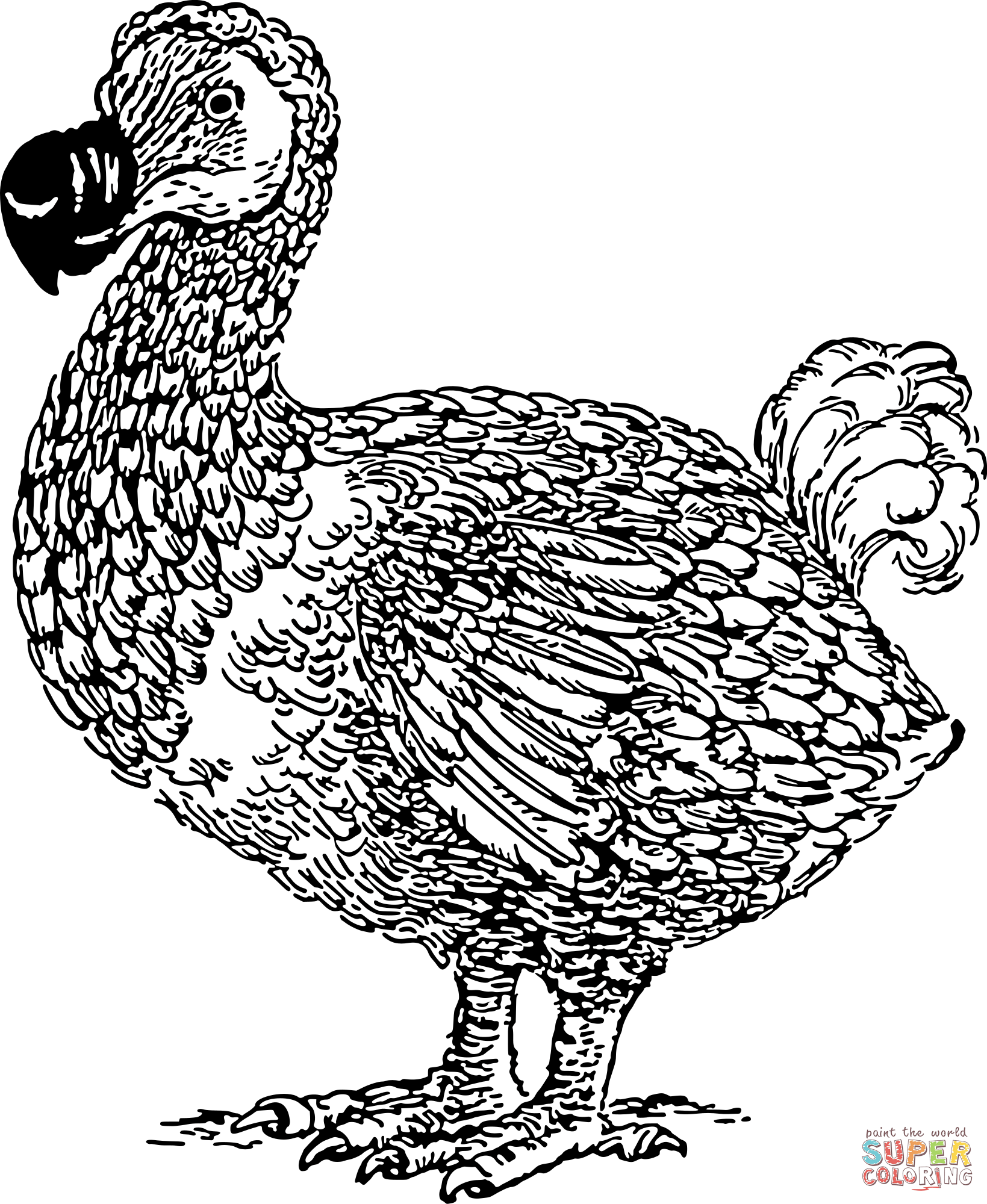 Vintage dodo coloring page free printable coloring pages