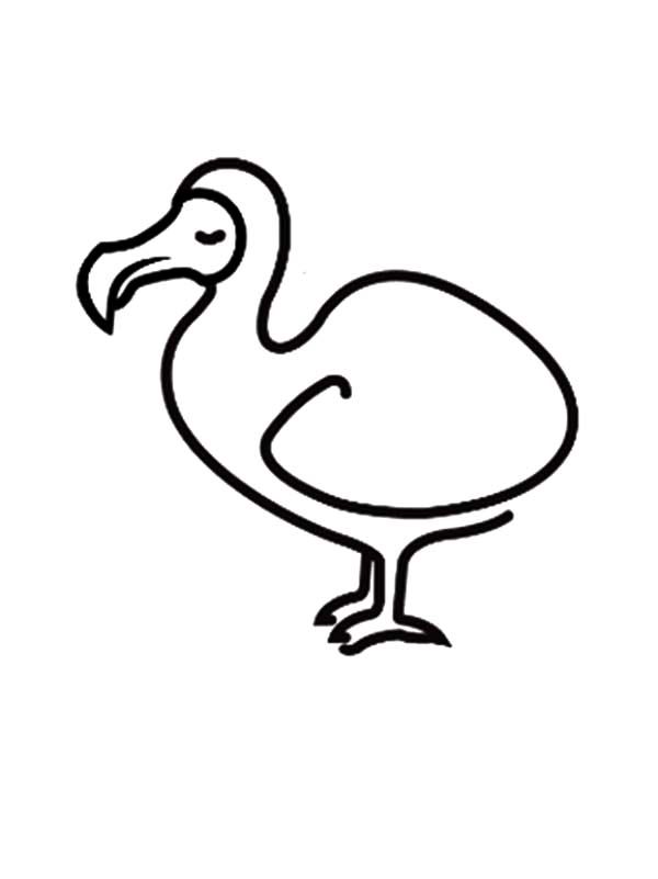 How to draw dodo bird coloring pages