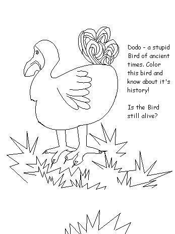 Dodo the stupid bird