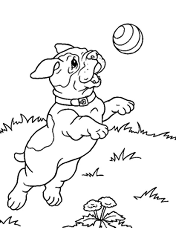Coloring pages puppy playing with a ball coloring pages