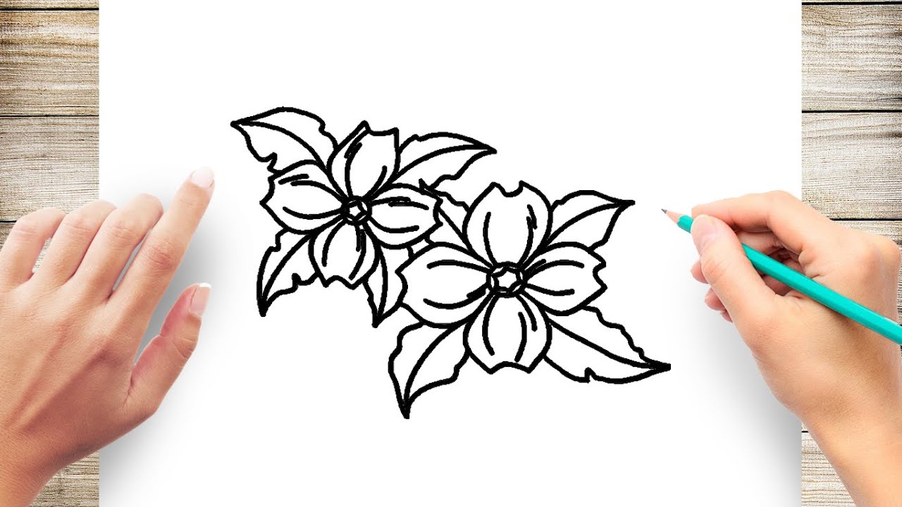 How to draw dogwood flowers easy