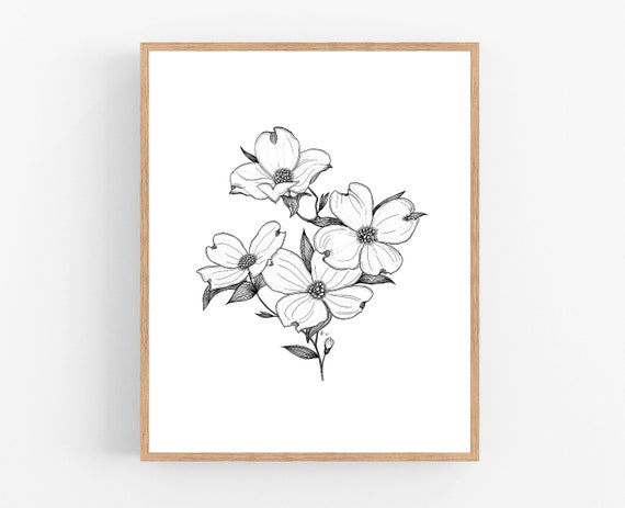 Dogwood ink sketch print printable art digital download pen sketch botanical print dogwood flower black ink flower drawing