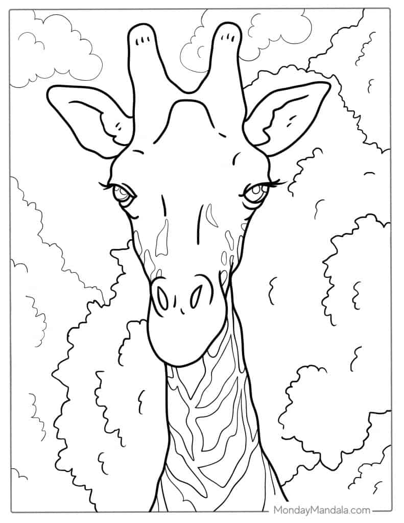 Giraffe coloring pages free pdf printables