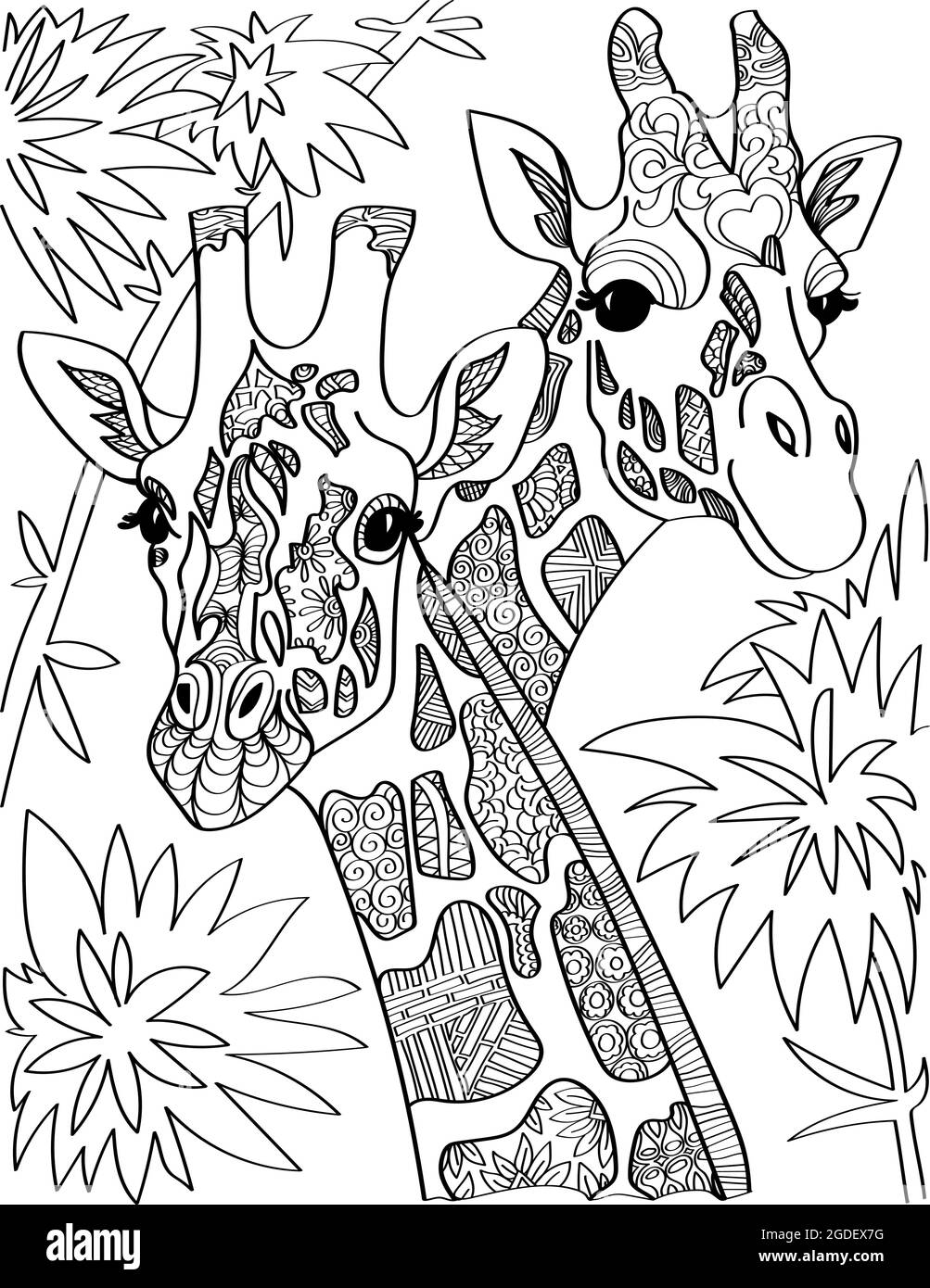 Two giraffe head looking at both sides with tall trees colorless line drawing giraffa heads long neck with leaves background coloring book page stock vector image art