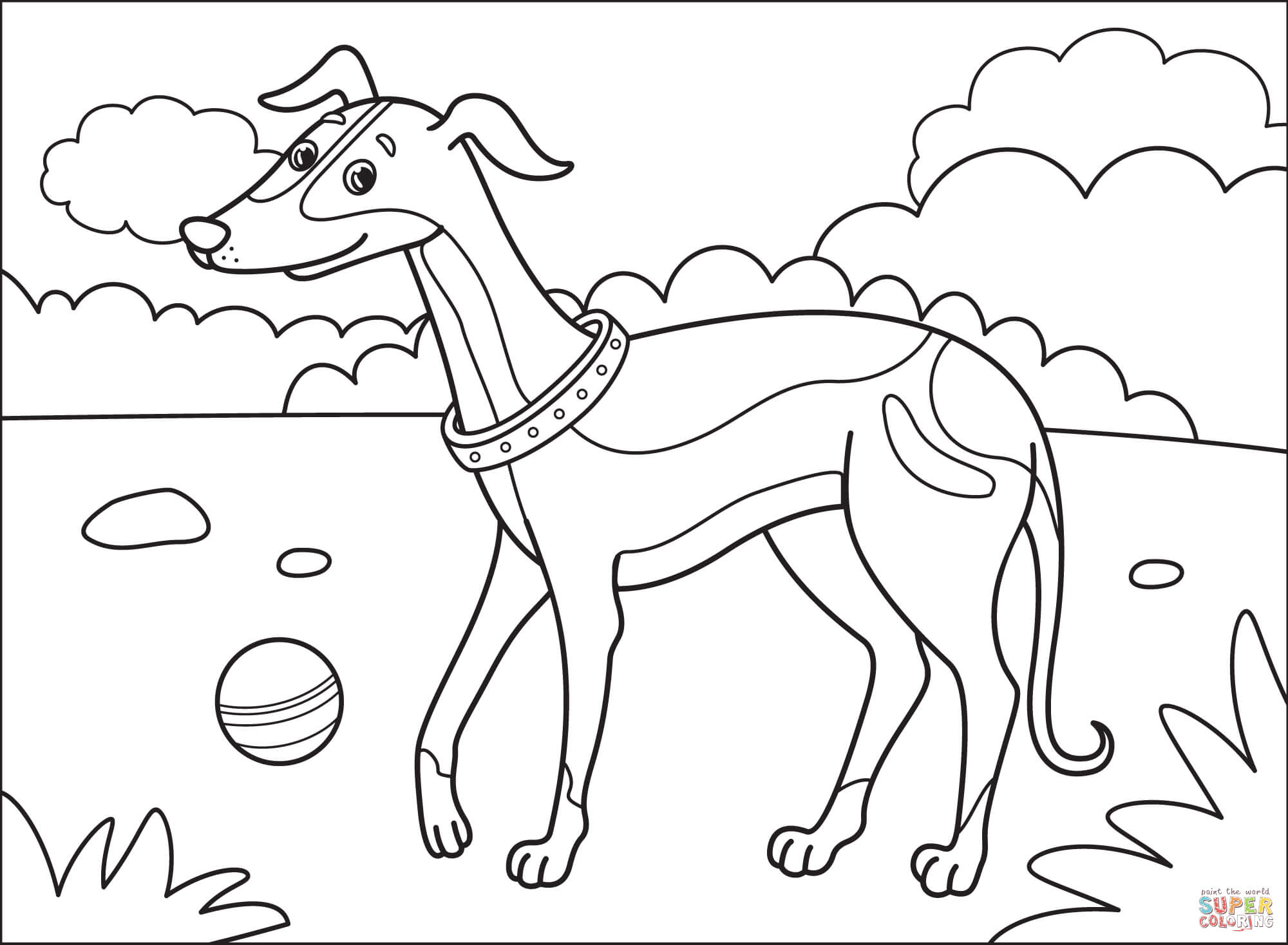 Greyhound coloring page free printable coloring pages