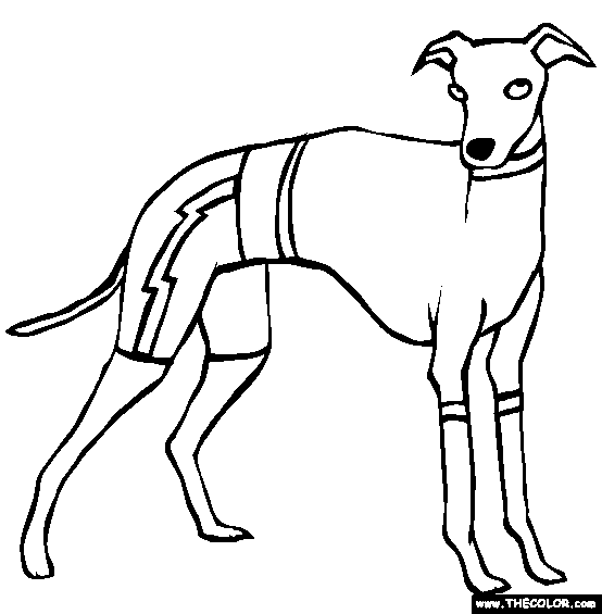 Italian greyhound coloring page free italian greyhound online coloring