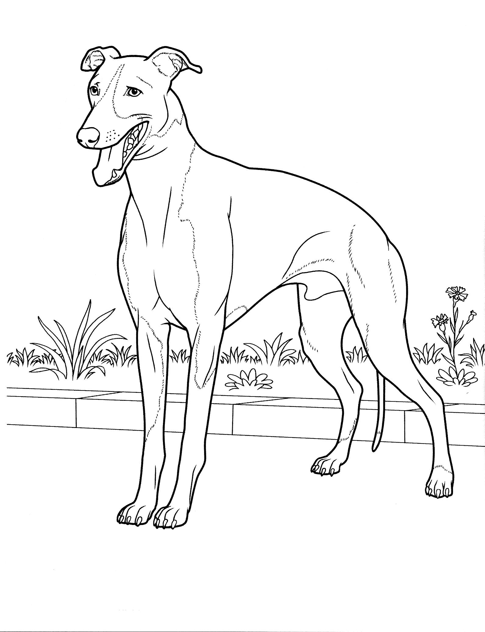 Coloring page