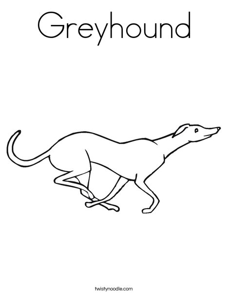 Greyhound coloring page