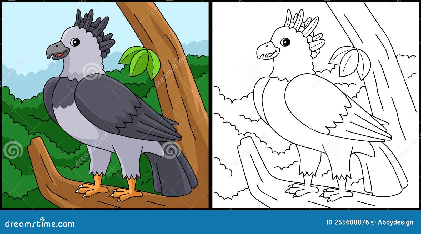 Harpy eagle animal coloring page illustration stock vector