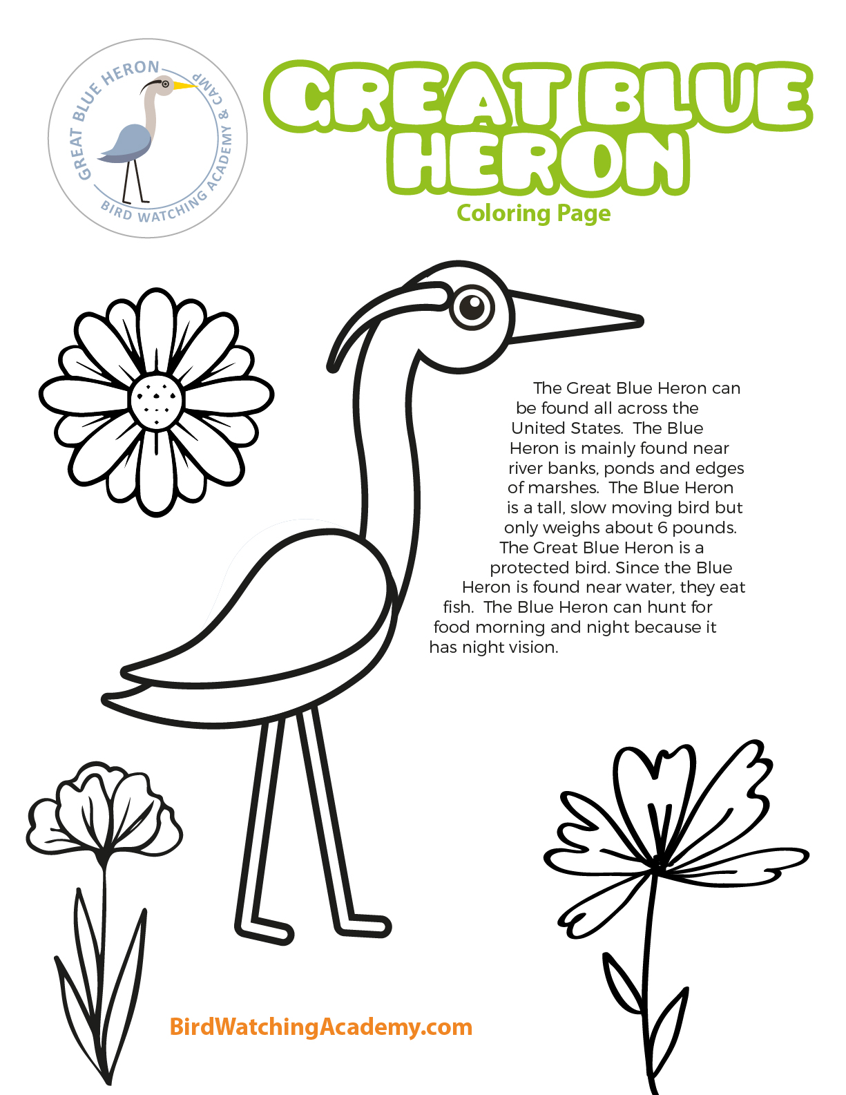Great blue heron coloring page