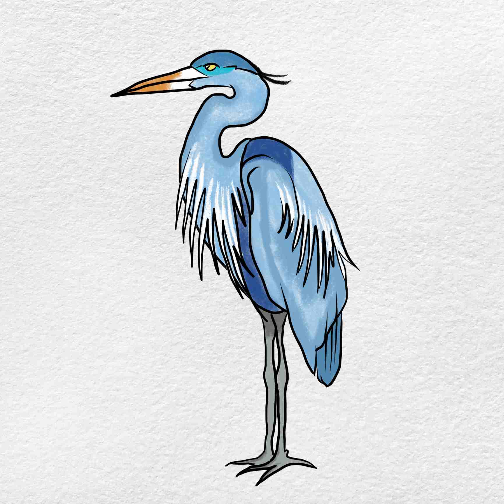 How to draw a heron