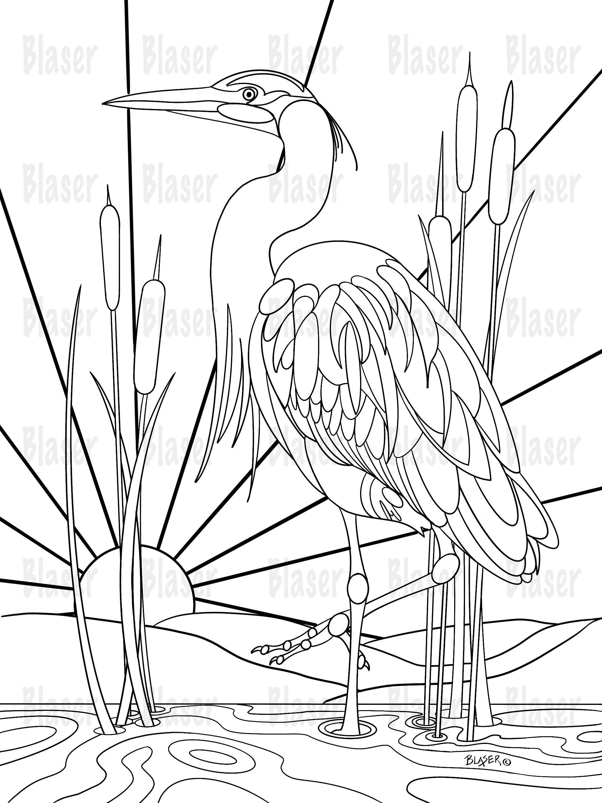 Coloring page heron printable nature coloring digital download adults kids bird great blue heron blue heron download blue heron