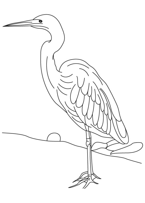 Long legged heron coloring page download free long legged heron coloring page for kids best coloring pages