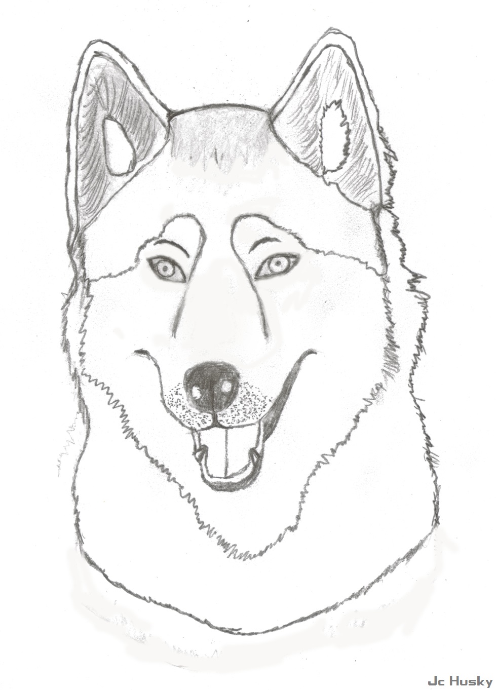 Husky sketch by jchusky on