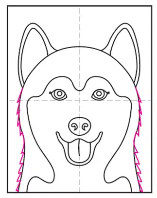 Easy how to draw a husky tutorial and husky coloring page