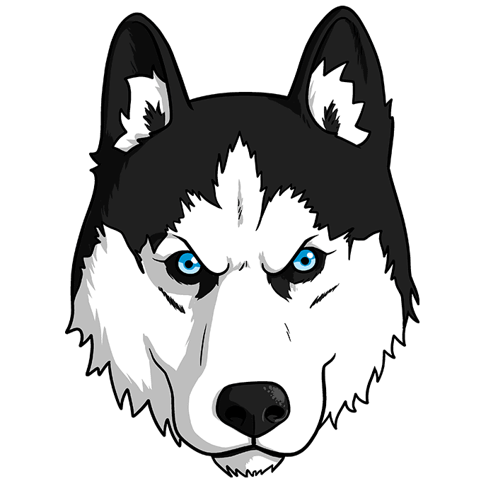 How to draw a husky face