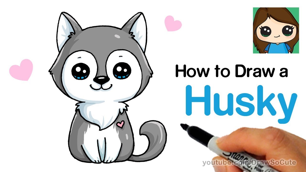 How to draw a husky puppy easy