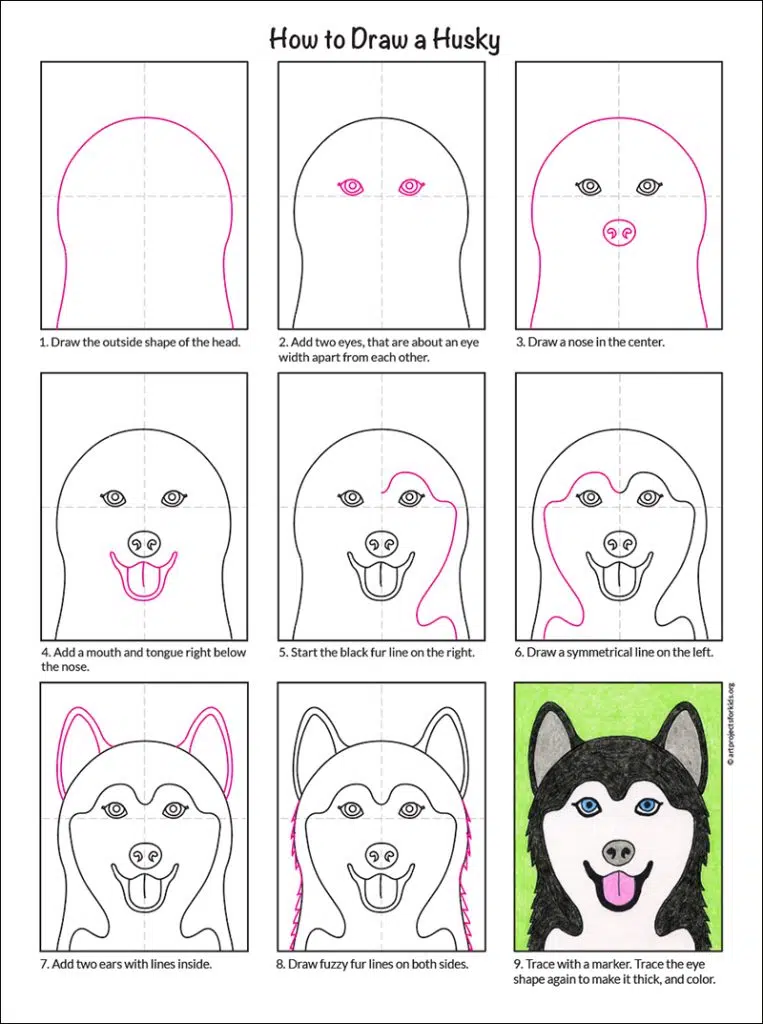 Easy how to draw a husky tutorial and husky coloring page