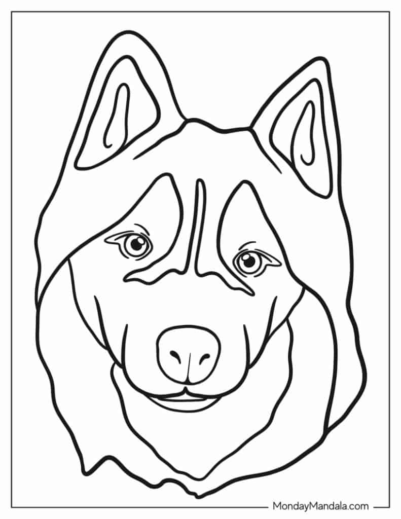 Husky coloring pages free pdf printables