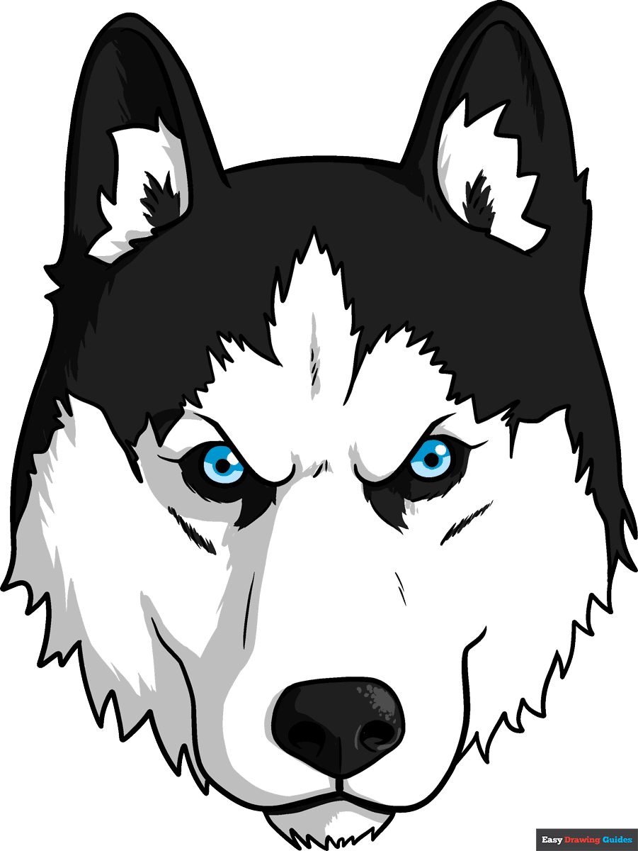How to draw a husky face