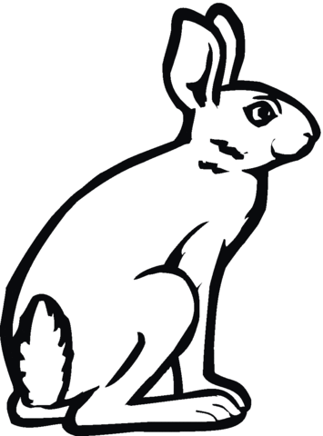 Jackrabbit coloring page free printable coloring pages