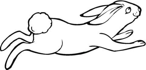 Jumping jack rabbit coloring page free printable coloring pages