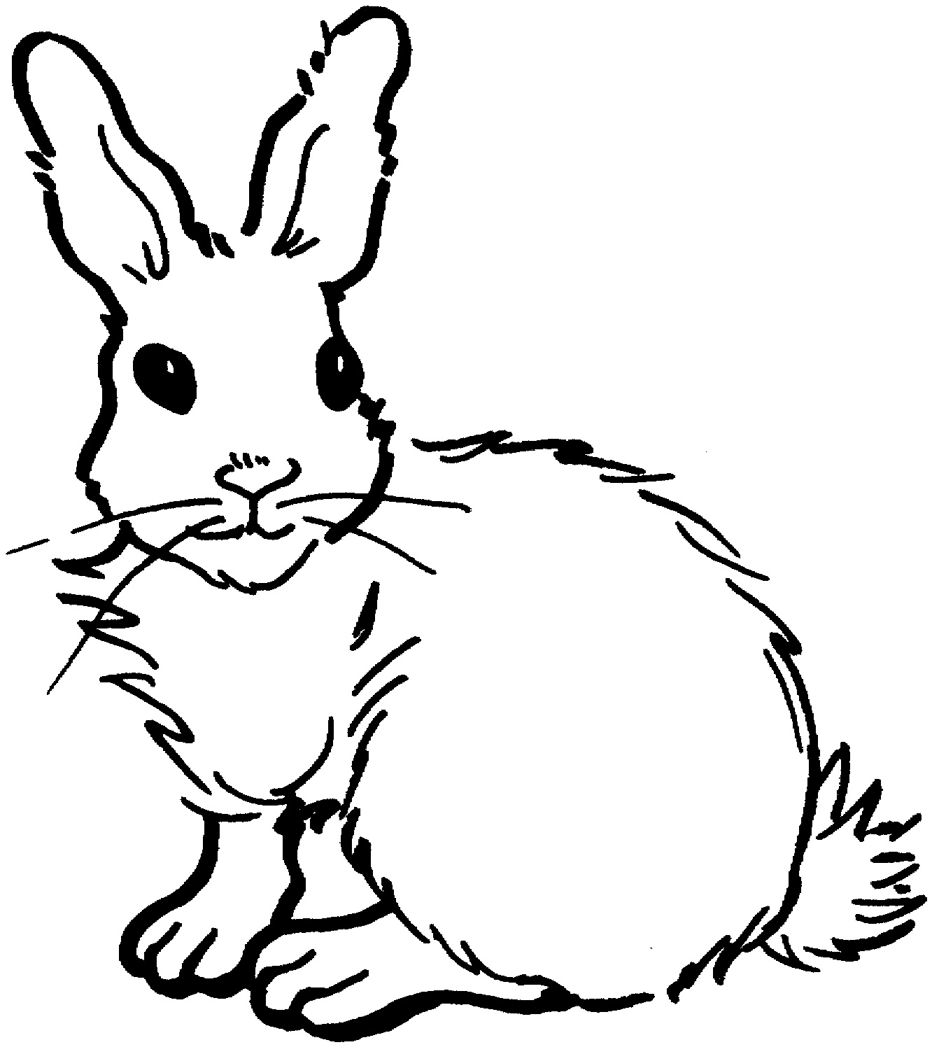 Free printable rabbit coloring pages for kids