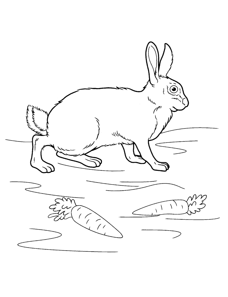Coloring page