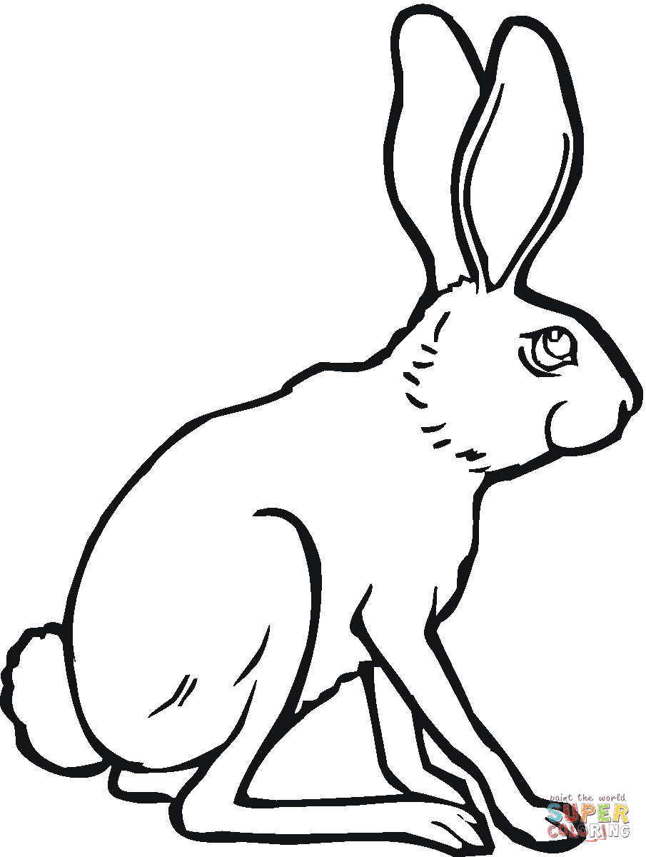 Sitting jackrabbit coloring page free printable coloring pages coloring pages free printable coloring pages animal coloring pages