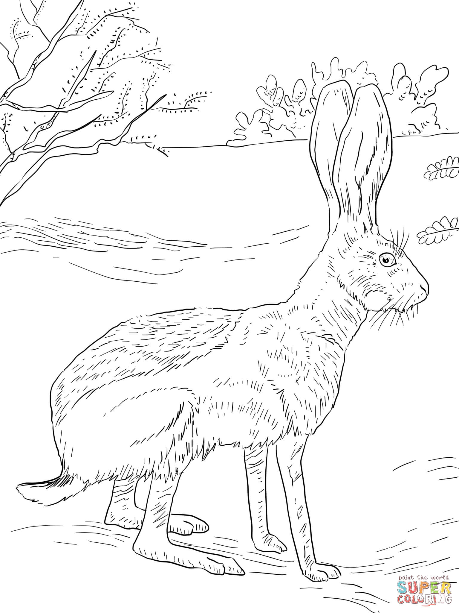Antelope jack rabbit coloring page free printable coloring pages