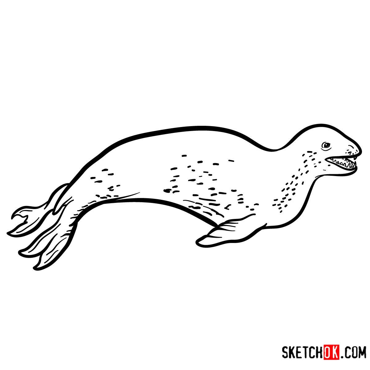 How to draw a leopard seal sea animals leopard seal sea animals leopard drawing