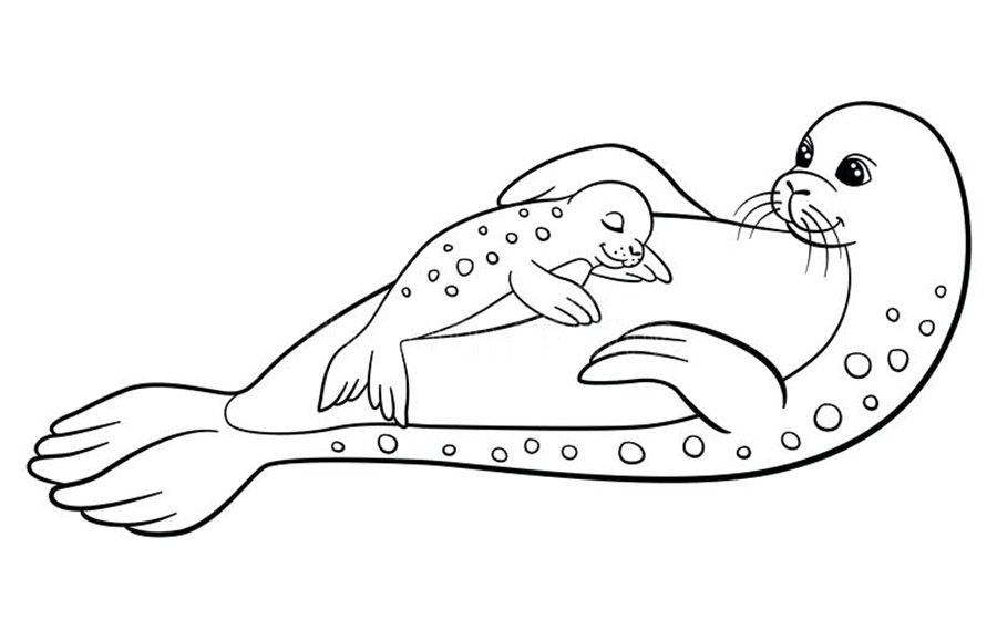 Seal coloring pages