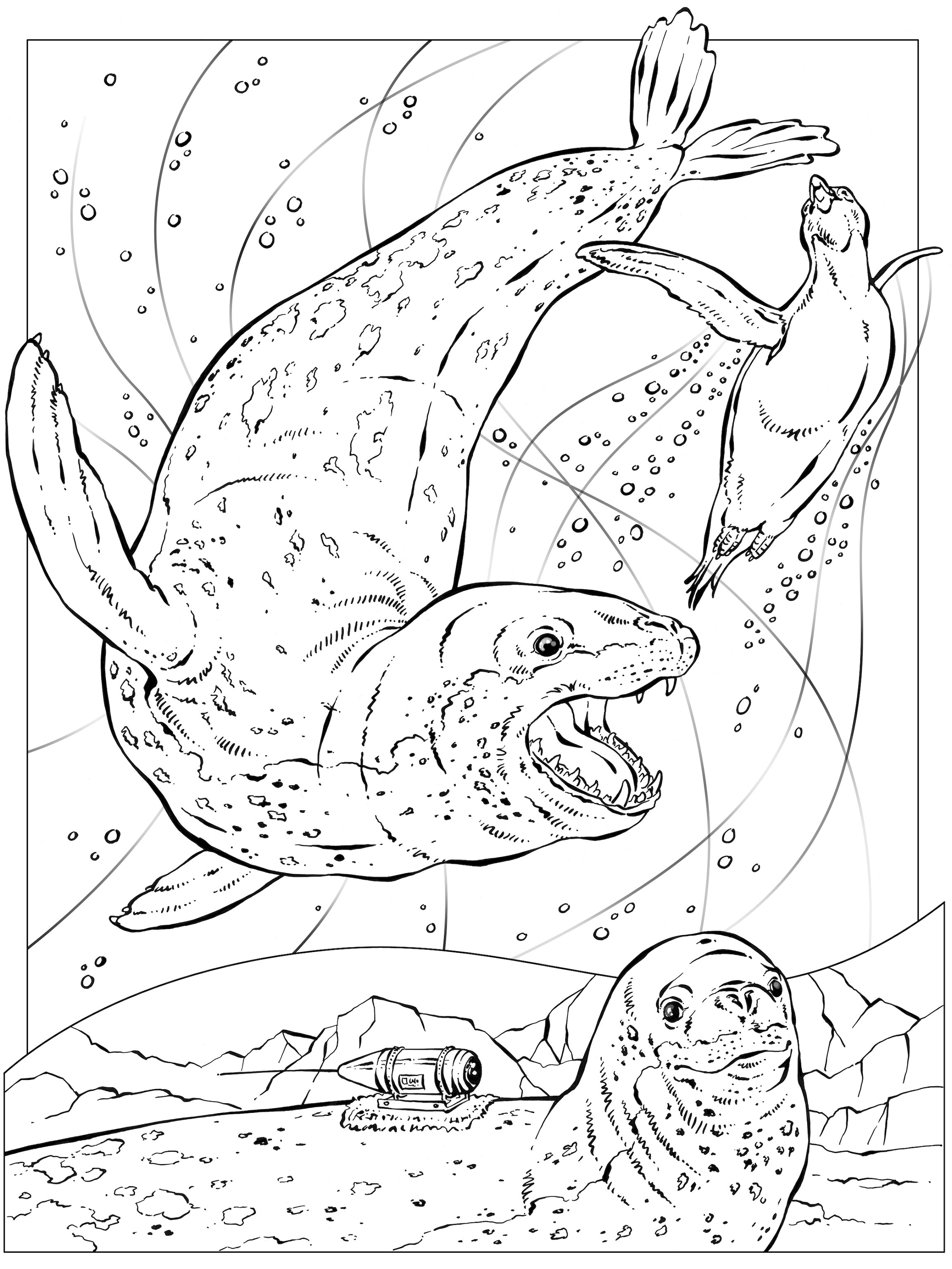 Coloring book animals j to z