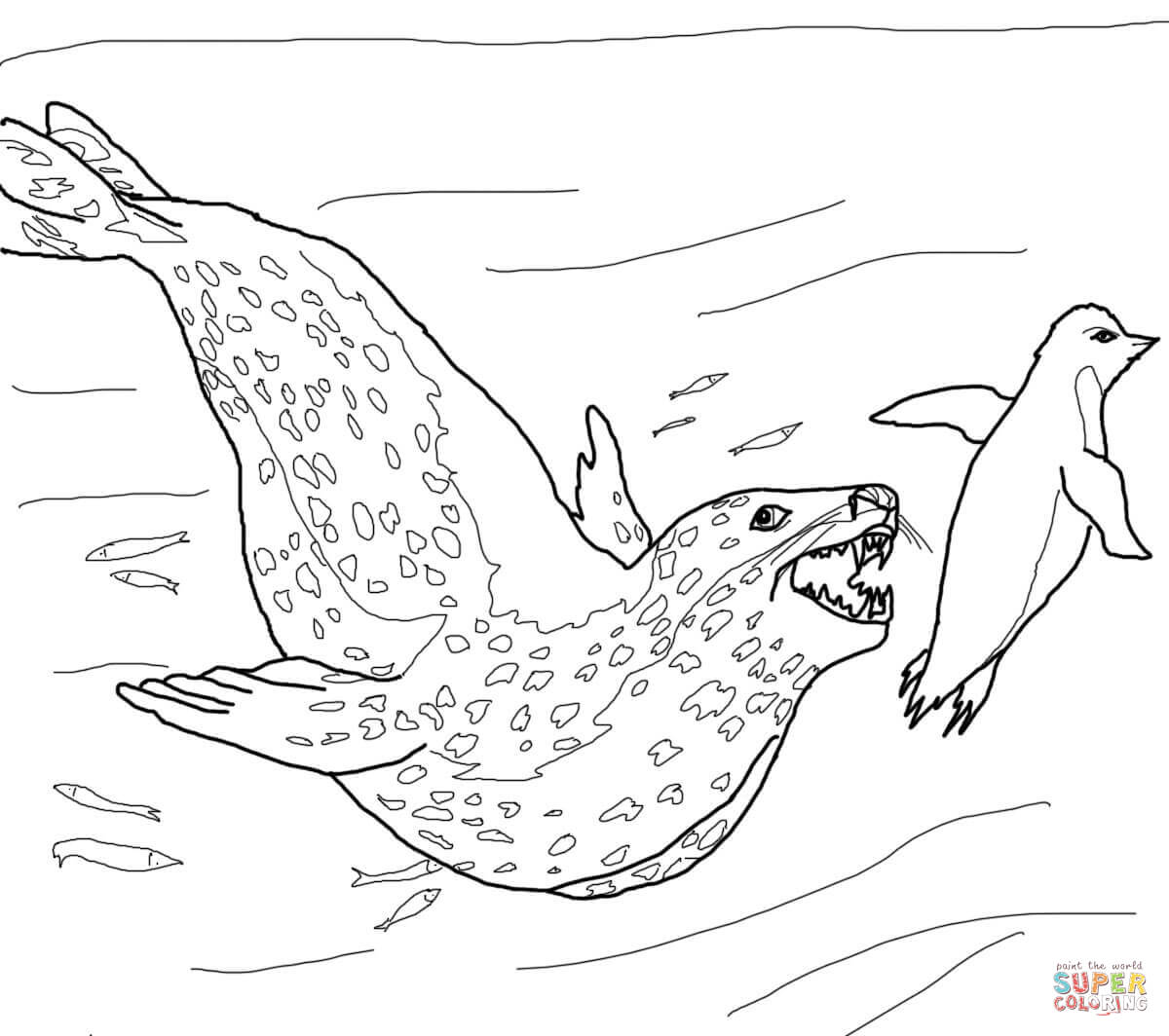 Leopard seal chasing penguin coloring page free printable coloring pages